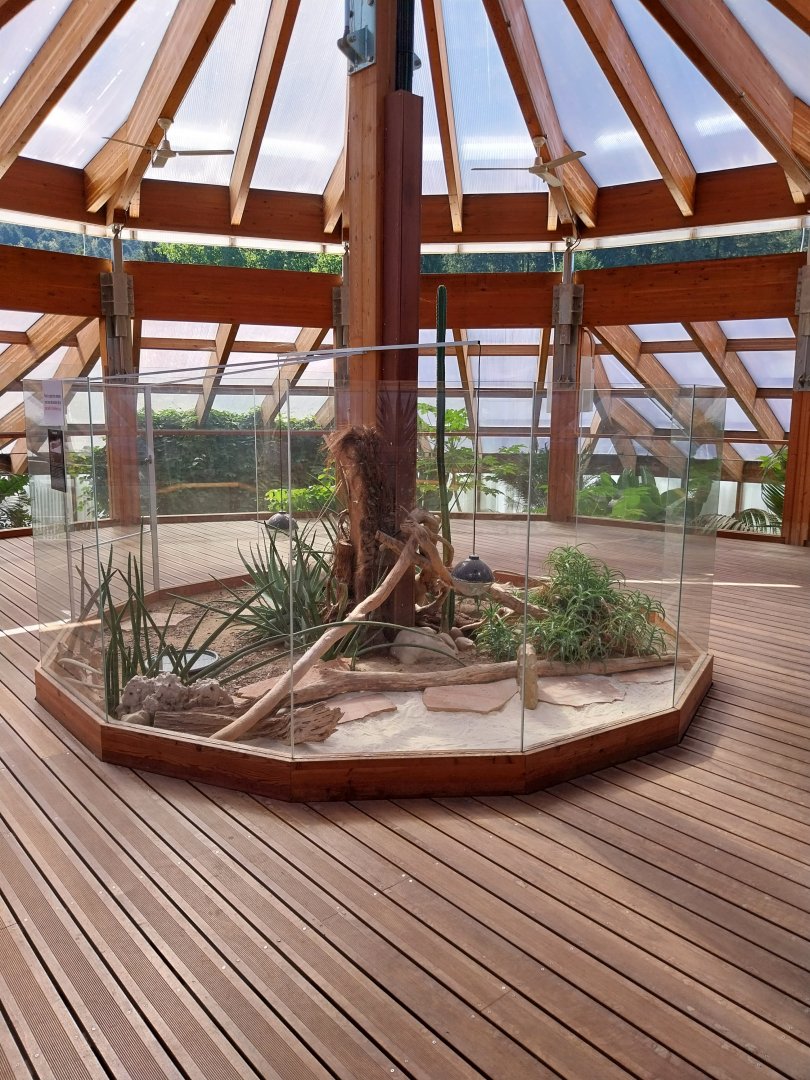 Dôme des espèces menacées - Mexican beaded lizard enclosure