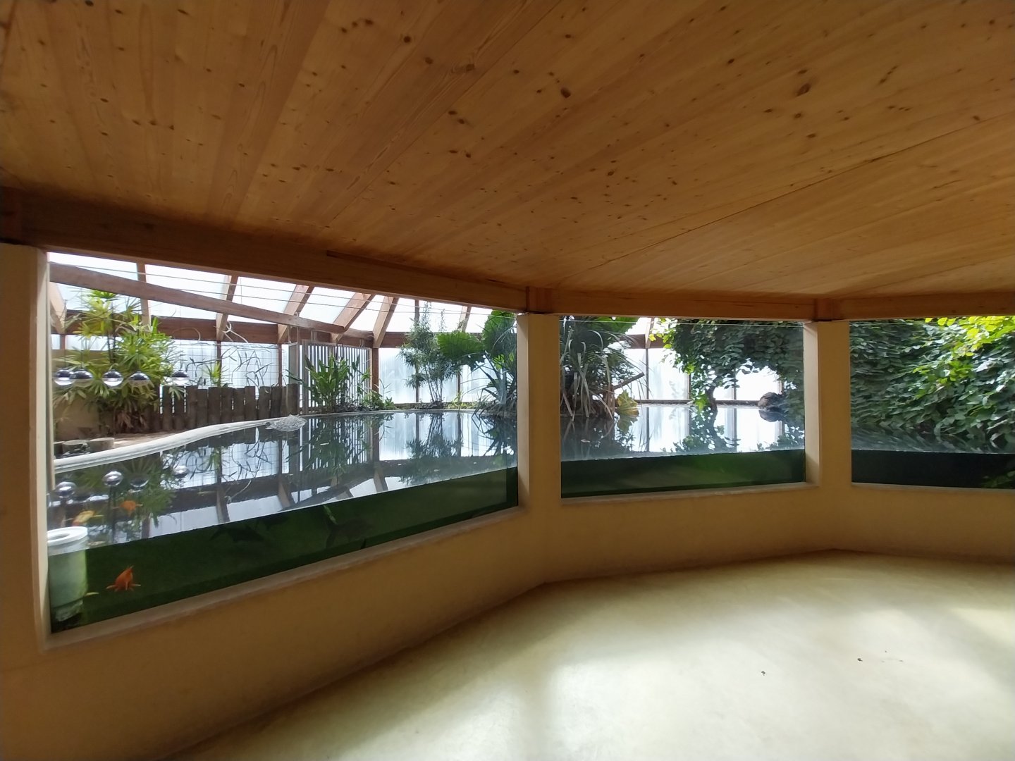 Dôme des espèces menacées - Siamese crocodile enclosure