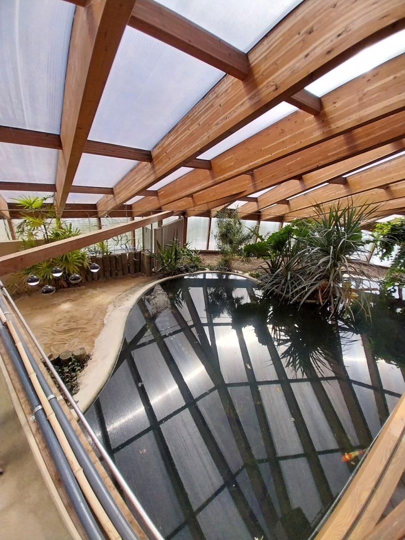 Dôme des espèces menacées - Siamese crocodile enclosure