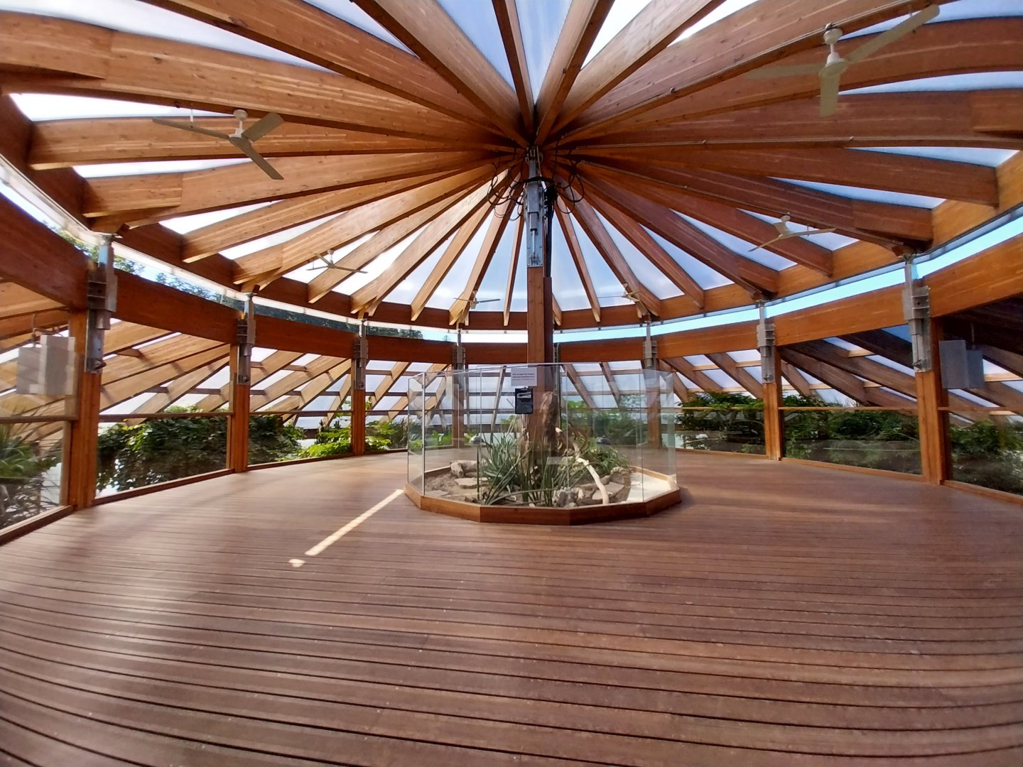 Dôme des espèces menacées - Top floor