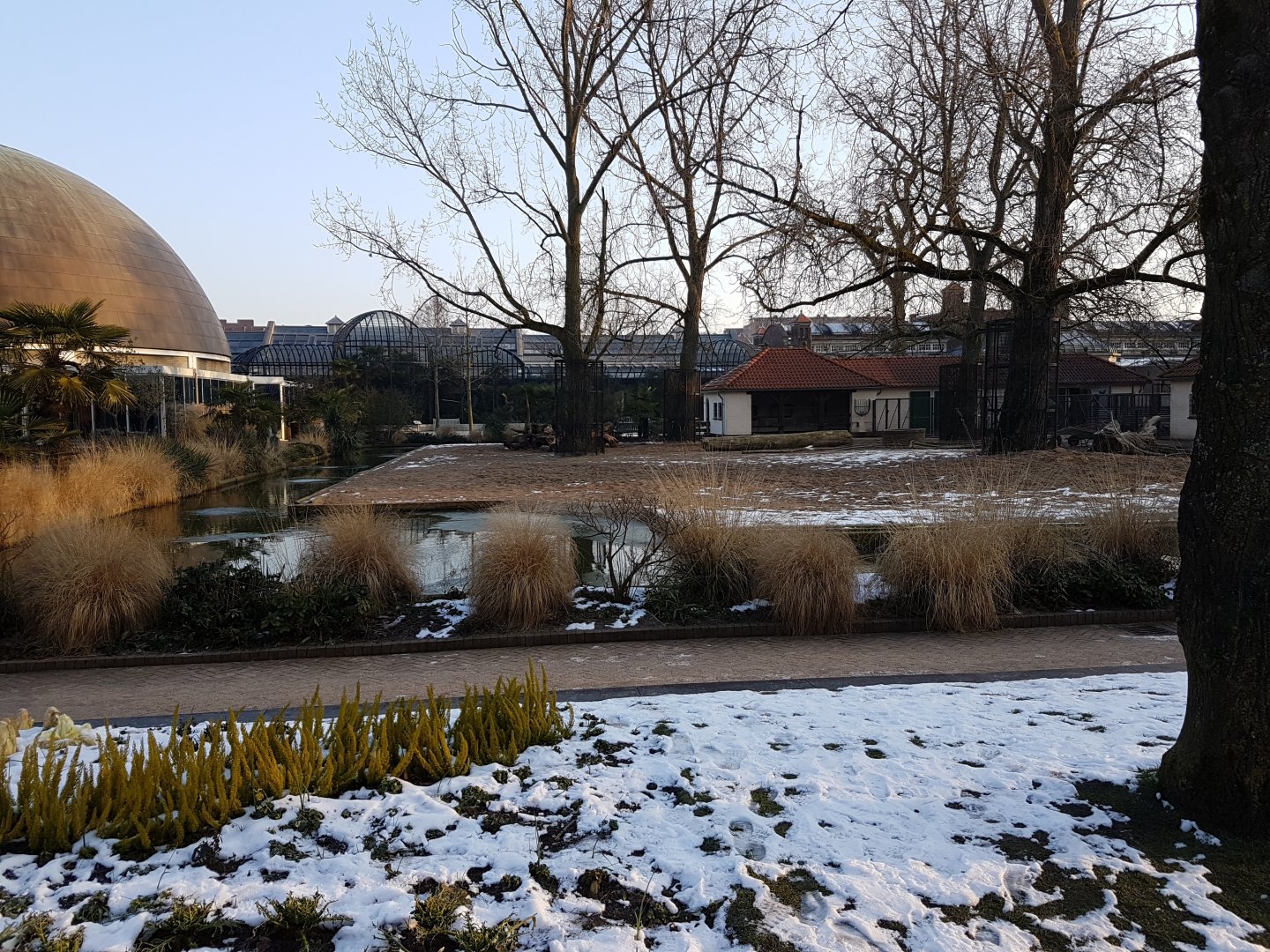 Domestic animal-enclosure