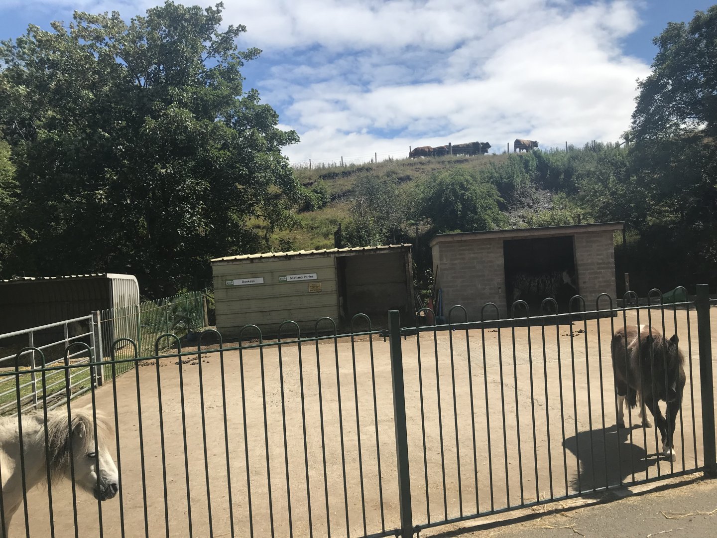 Domestic animal enclosures (2)