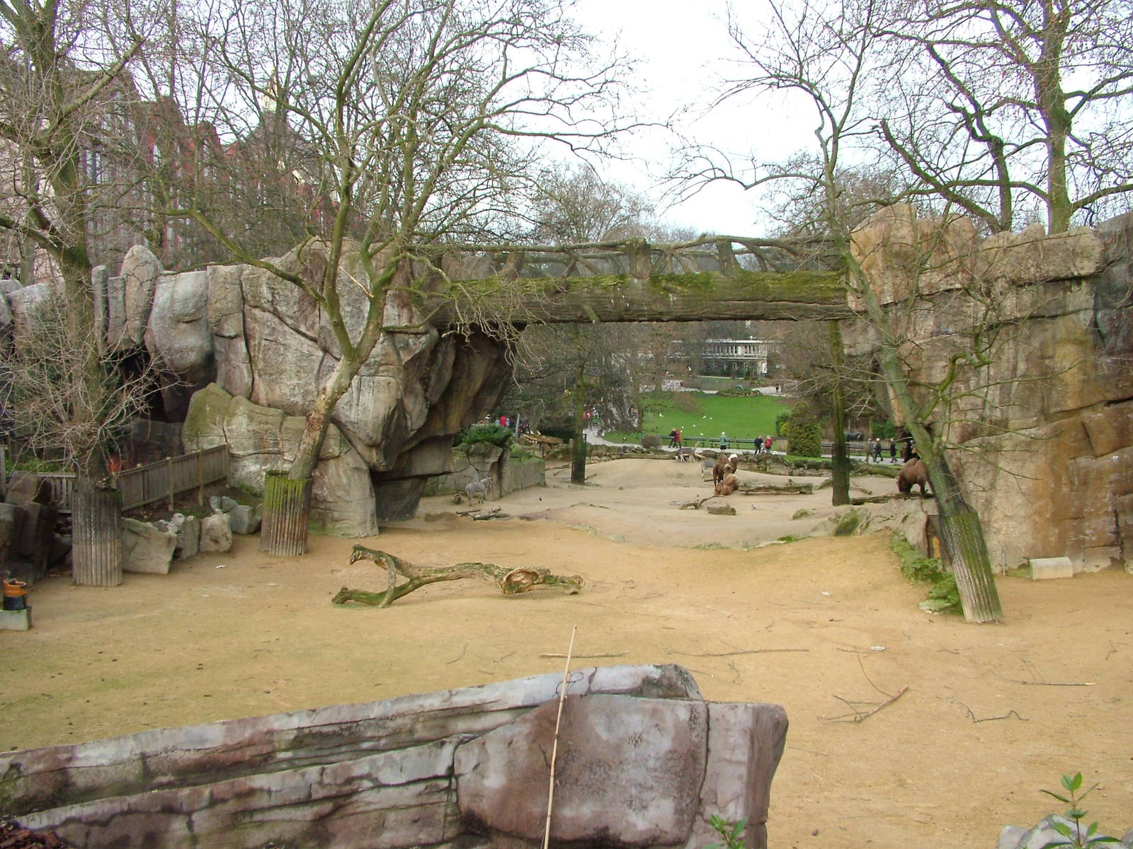 Domestic animal paddock at Antwerp Zoo Jan 09