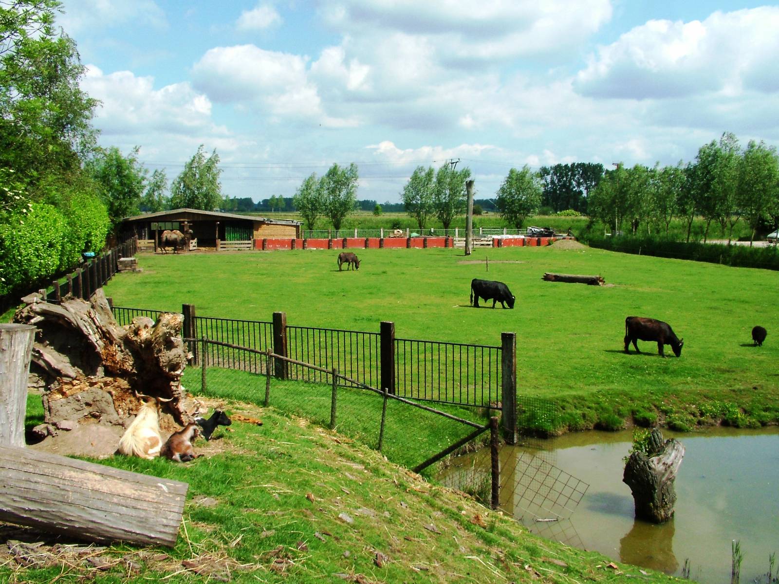 Domestic Animal Paddock at De Paay, 02/06/12