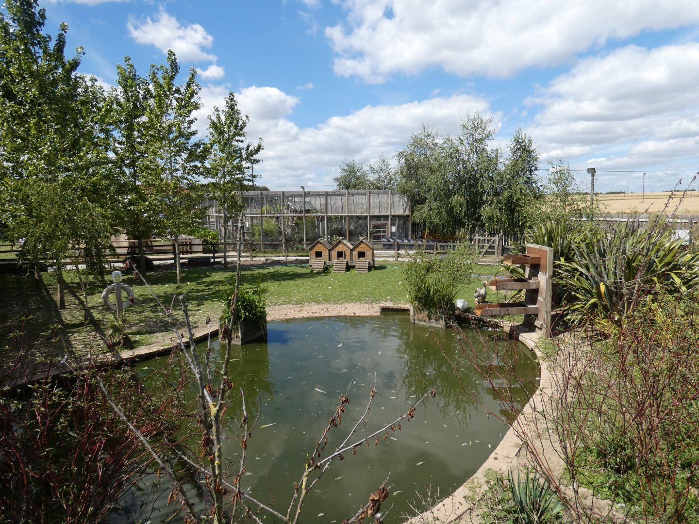 Domestic animal paddock