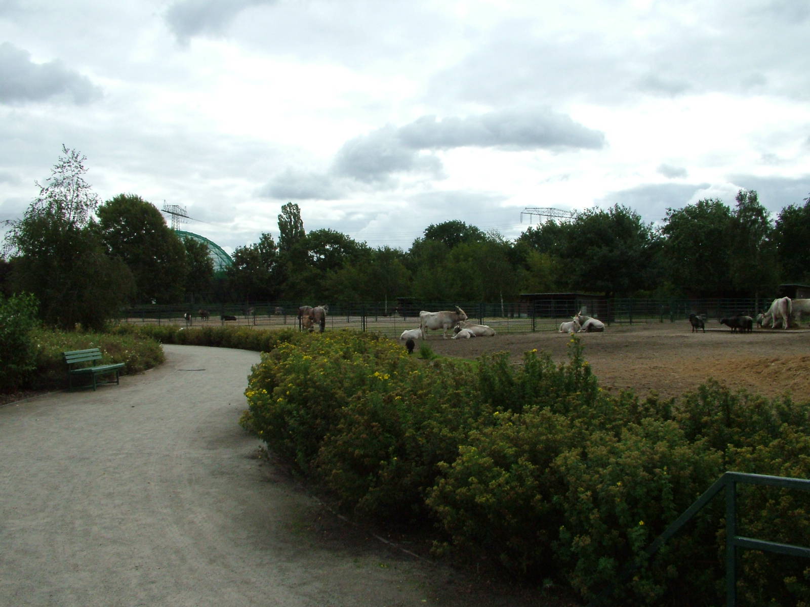 Domestic Animal Paddocks at Tierpark Berlin, 30/08/11