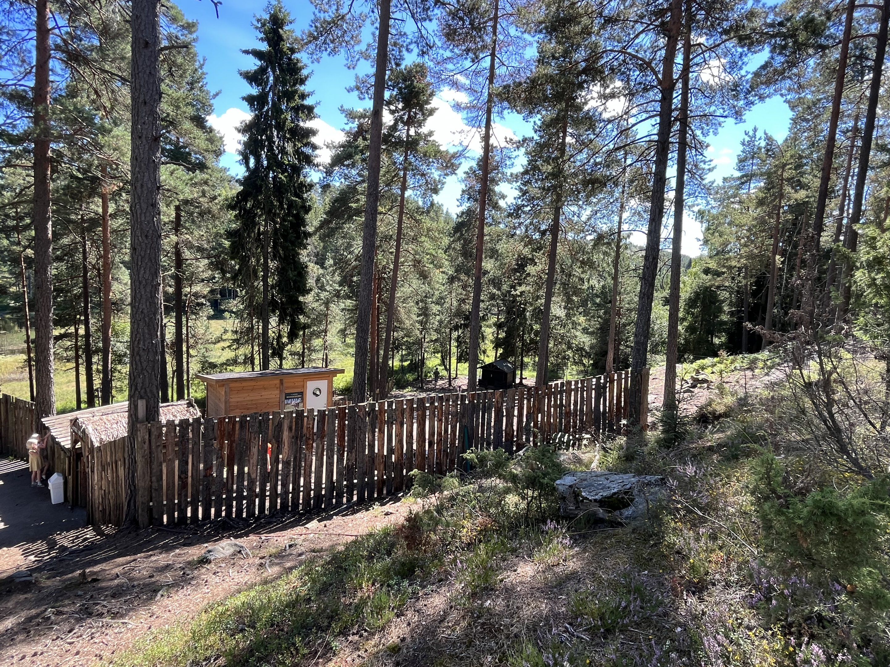 Domestic Animal Walk Through (goats + pigs)