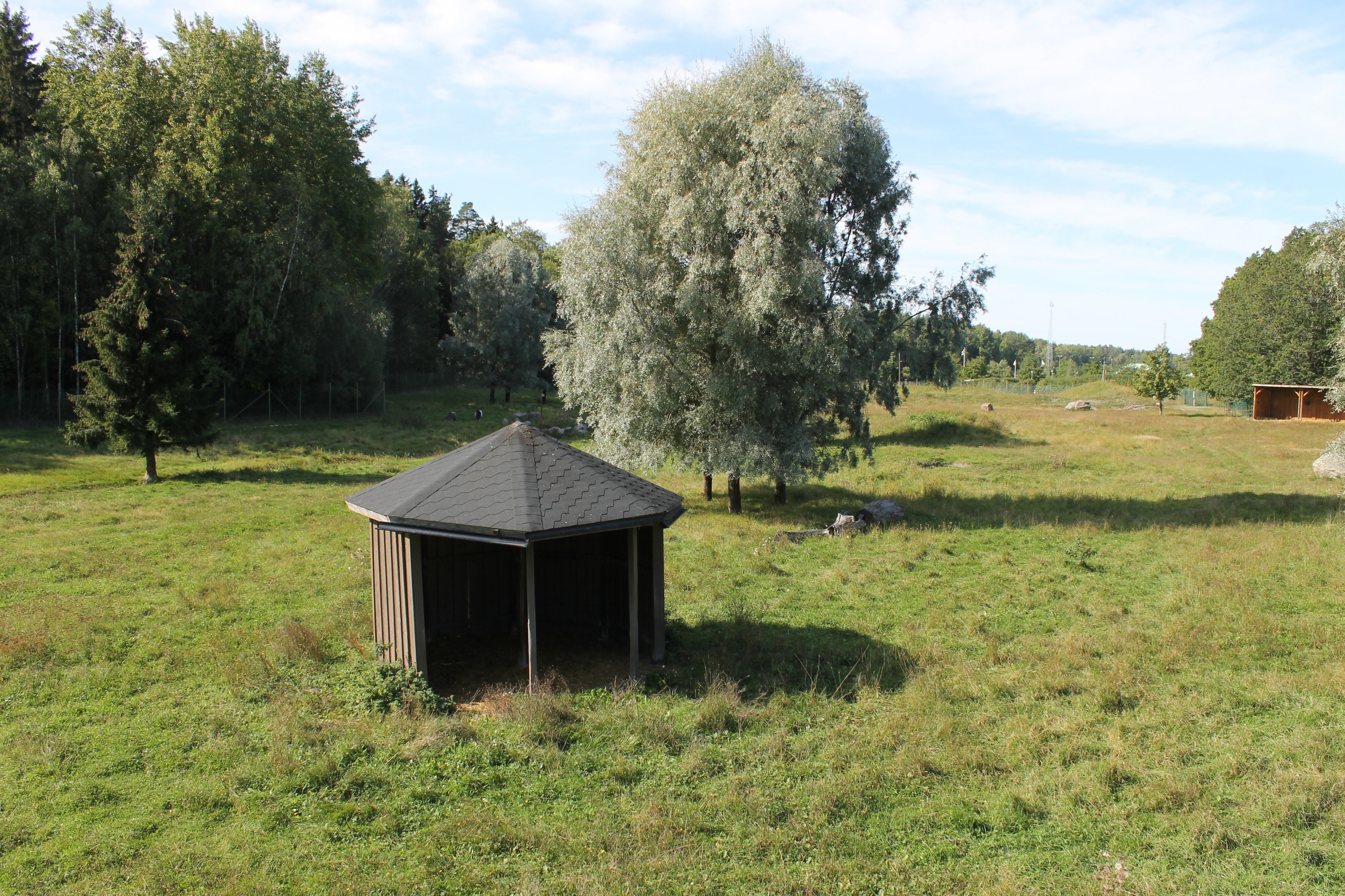 Domestic animals big exhibit.