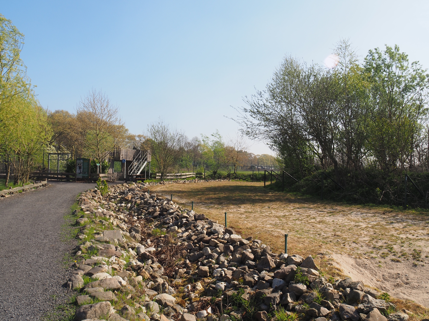 Domestic Bactrian camel paddock, 2025-04-12