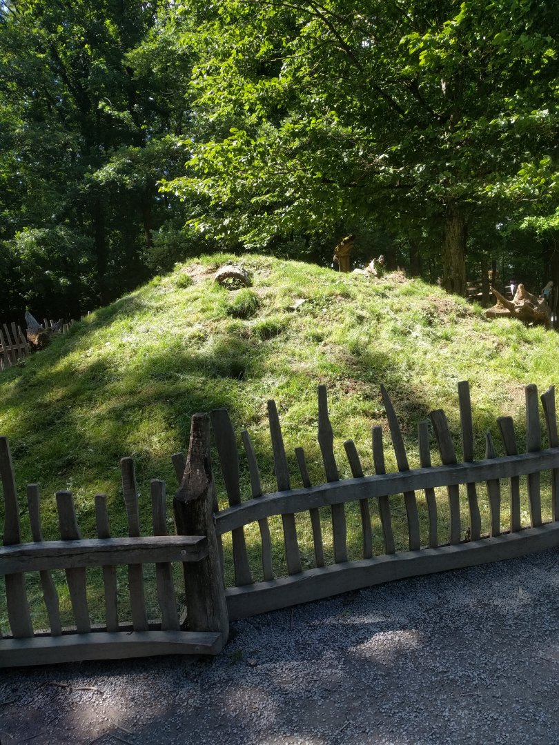 Domestic bunny Enclosure
