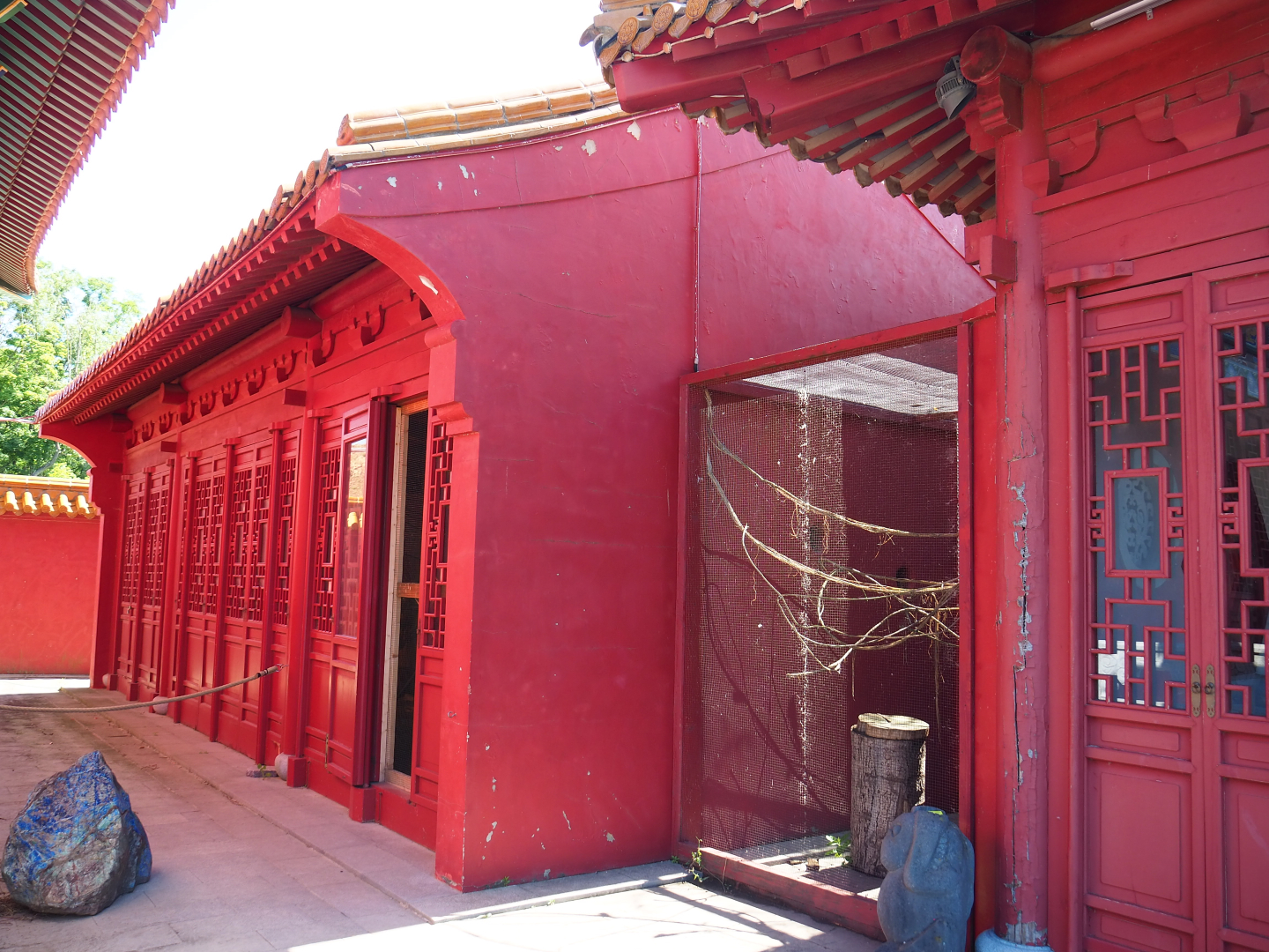 Domestic canary house and aviary, 2022-06-28