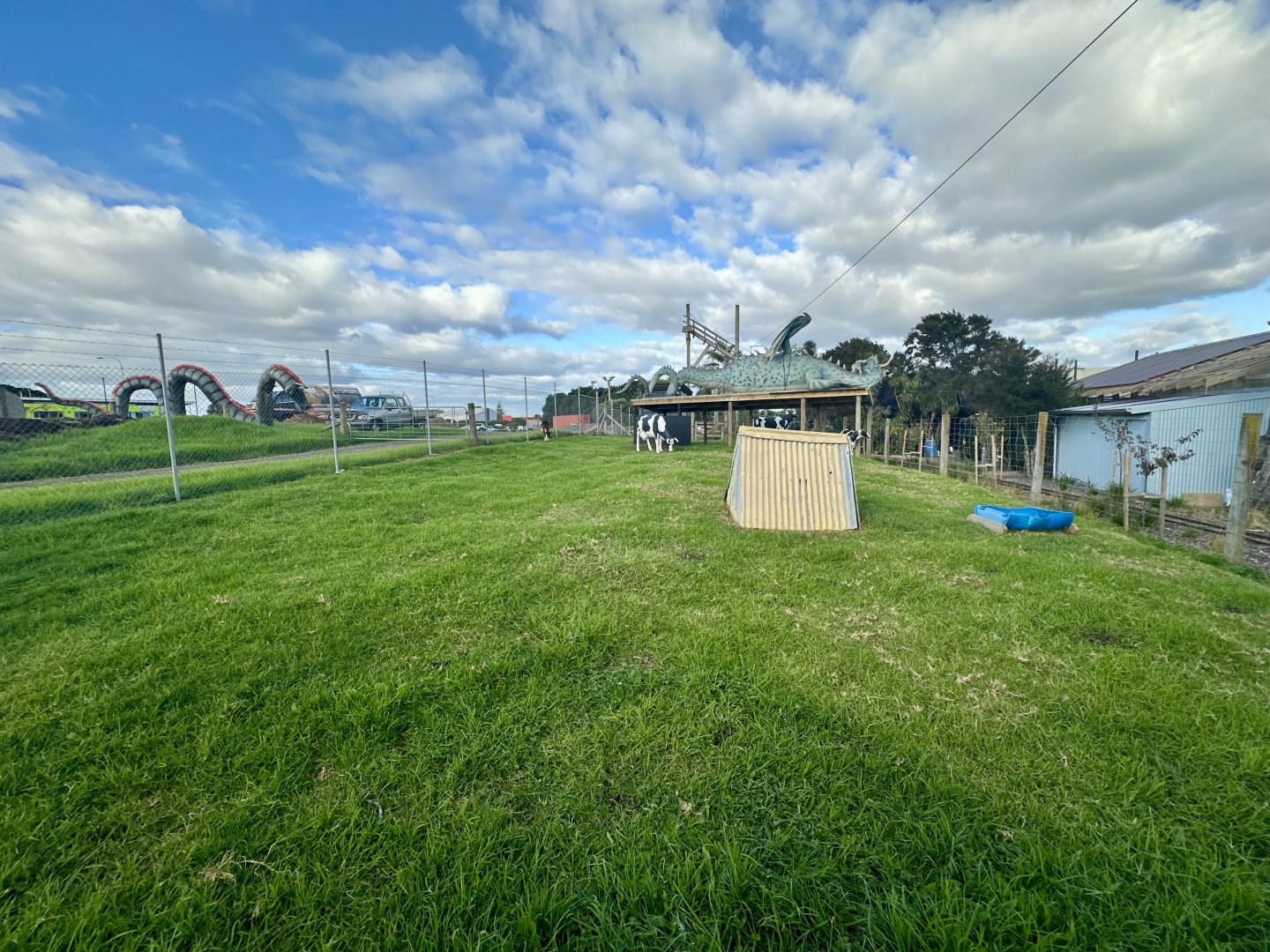 Domestic Cattle Exhibit