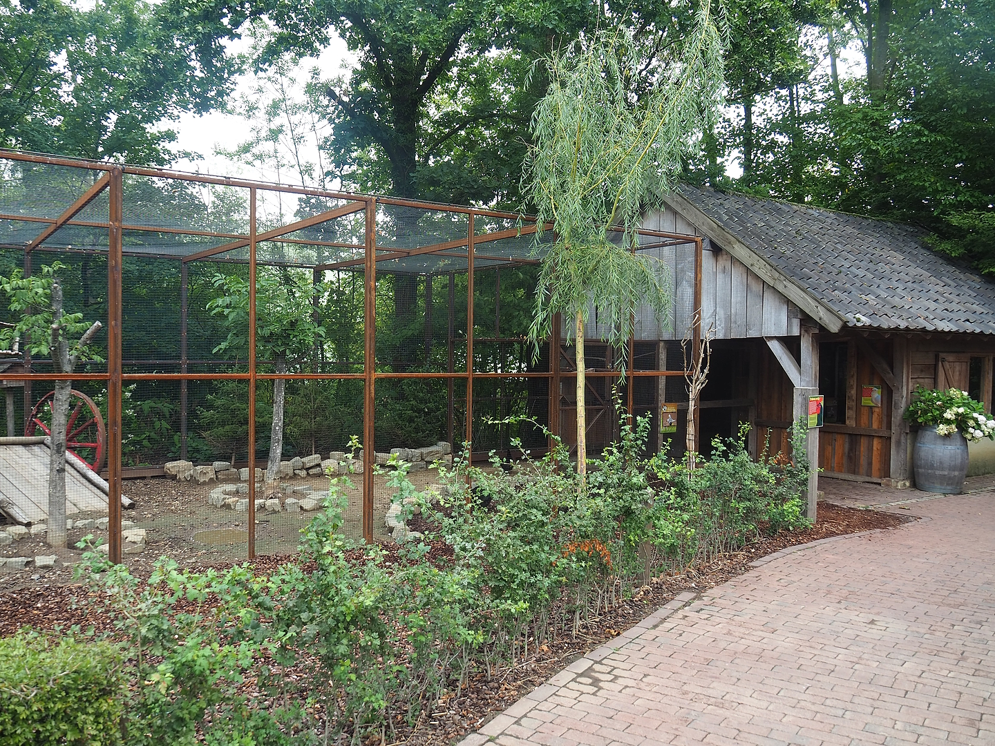 Domestic chicken and domestic pigeon aviary and barn, 2022-08-20