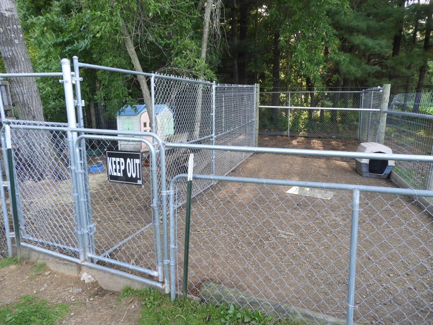 Domestic Chicken/Capybara/Domestic Rabbit/Patagonian Cavy exhibit