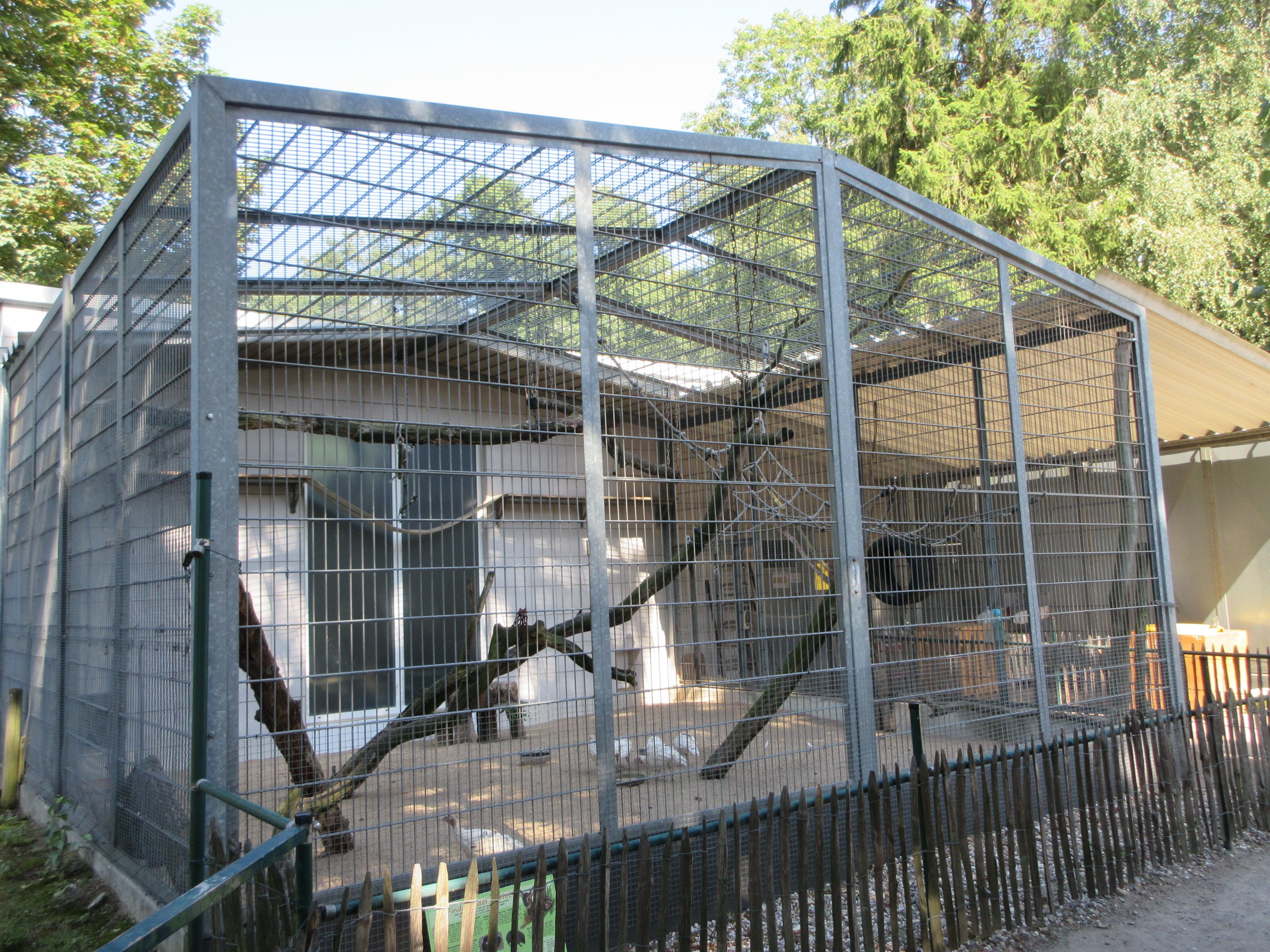 Domestic Chicken Exhibit
