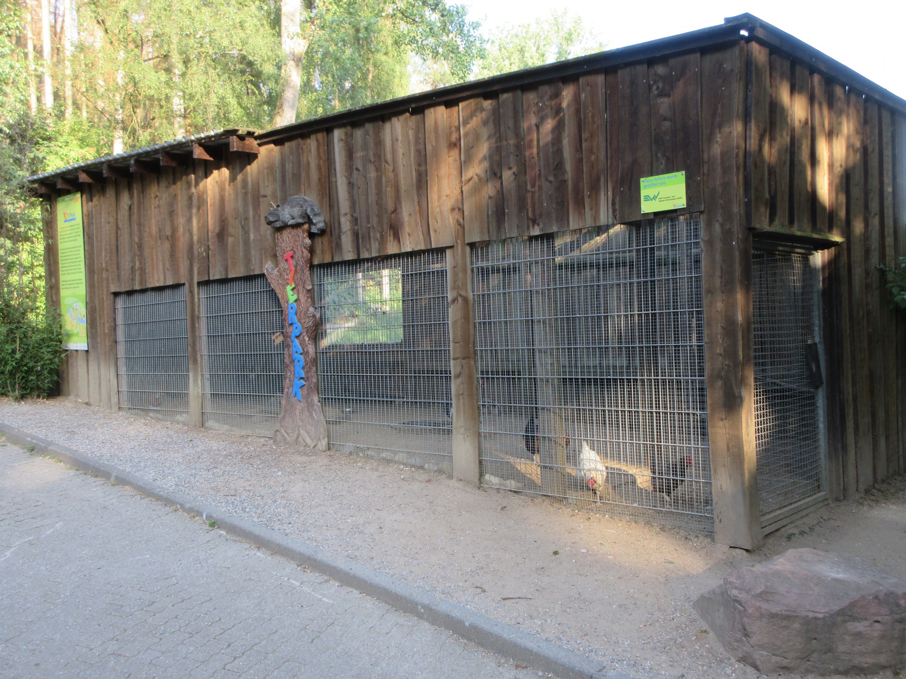Domestic Chicken Exhibit