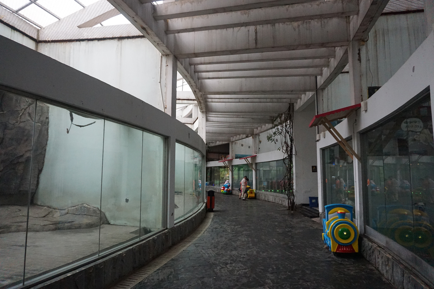 Domestic dog hall inside