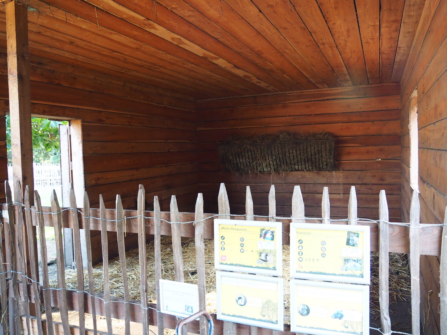 Domestic donkey and Ronquìeres turkey stable, 2020-09-12