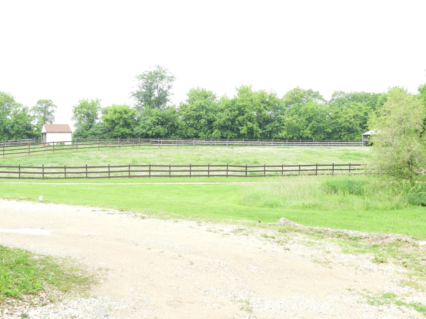 Domestic Donkey exhibit - Wilderness Trail - Animal Gardens Petting Zoo