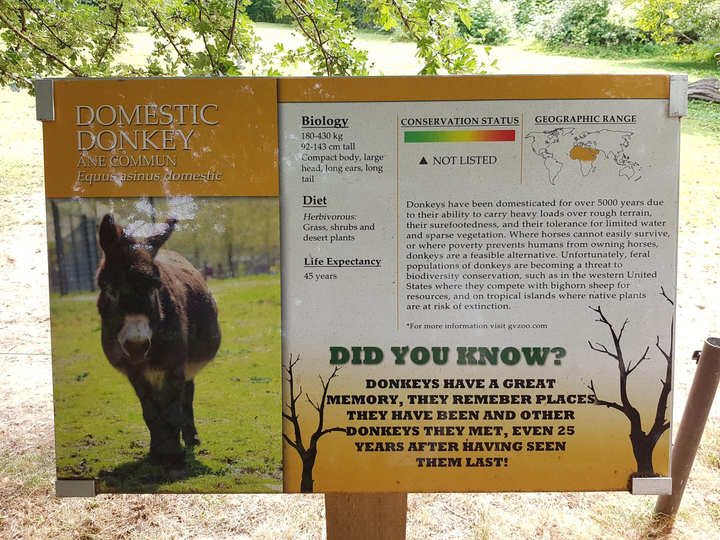 Domestic Donkey Sign