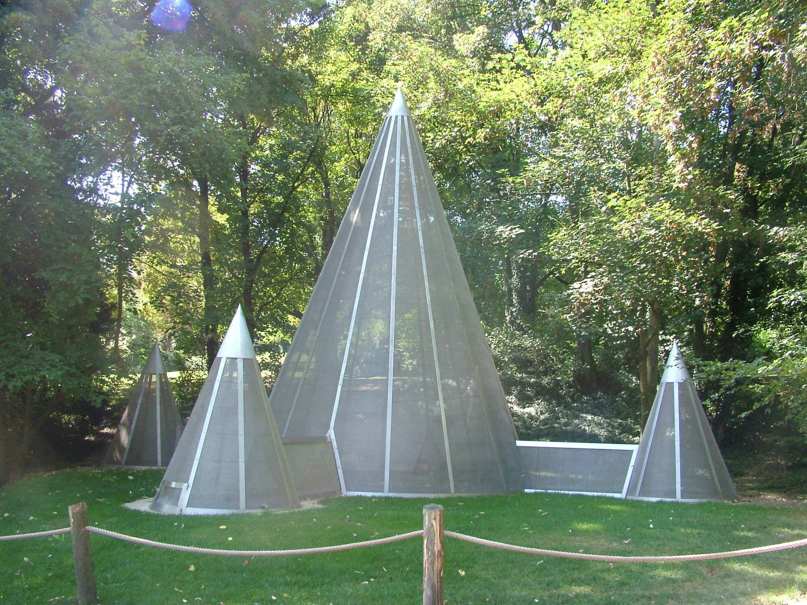 Domestic Dove aviary at Mulhouse 29/08/09