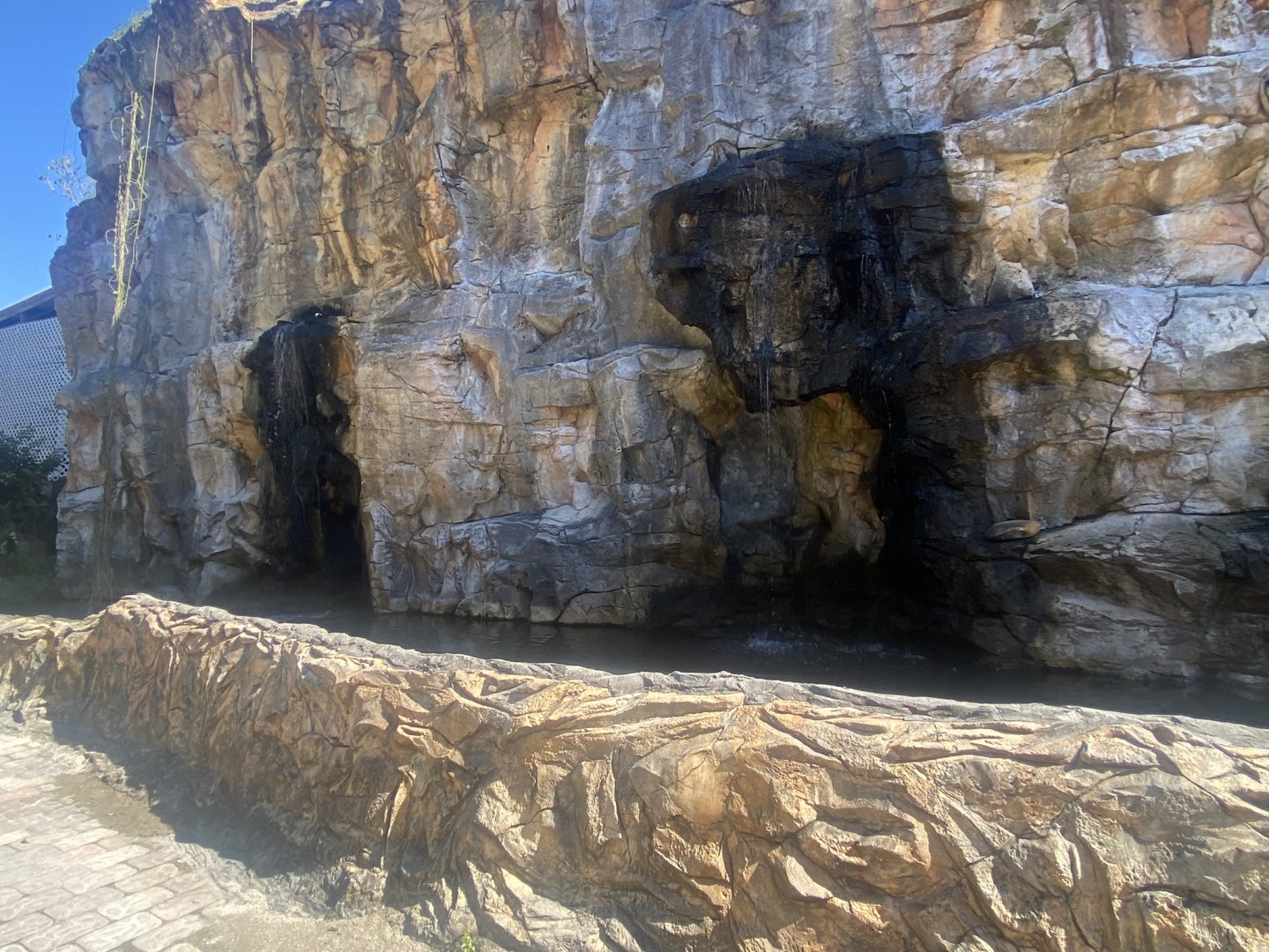 Domestic Duck Exhibit