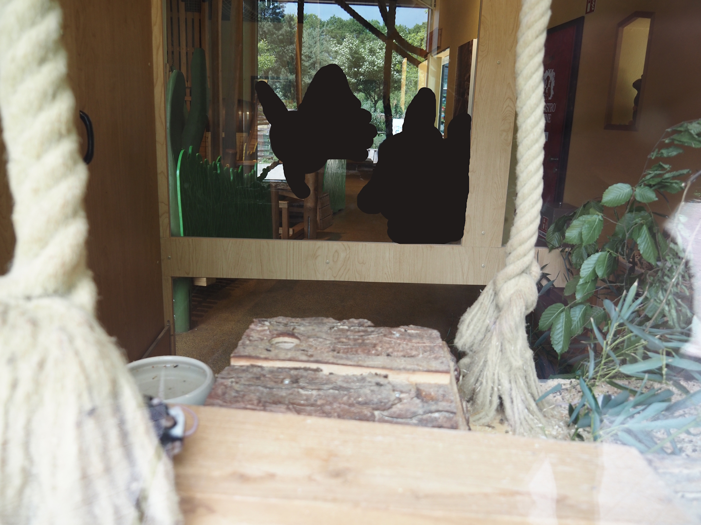 Domestic fancy mouse exhibit in the "Mäusescheune" ("Mouse barn") indoor playground, 2025-05-22