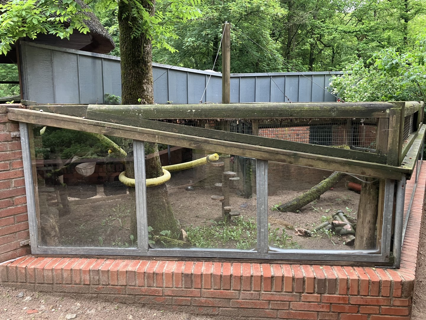 Domestic ferret cage