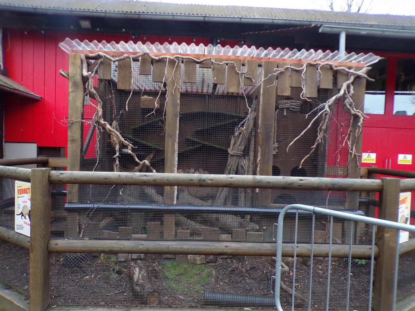Domestic ferret enclosure 11.2.25