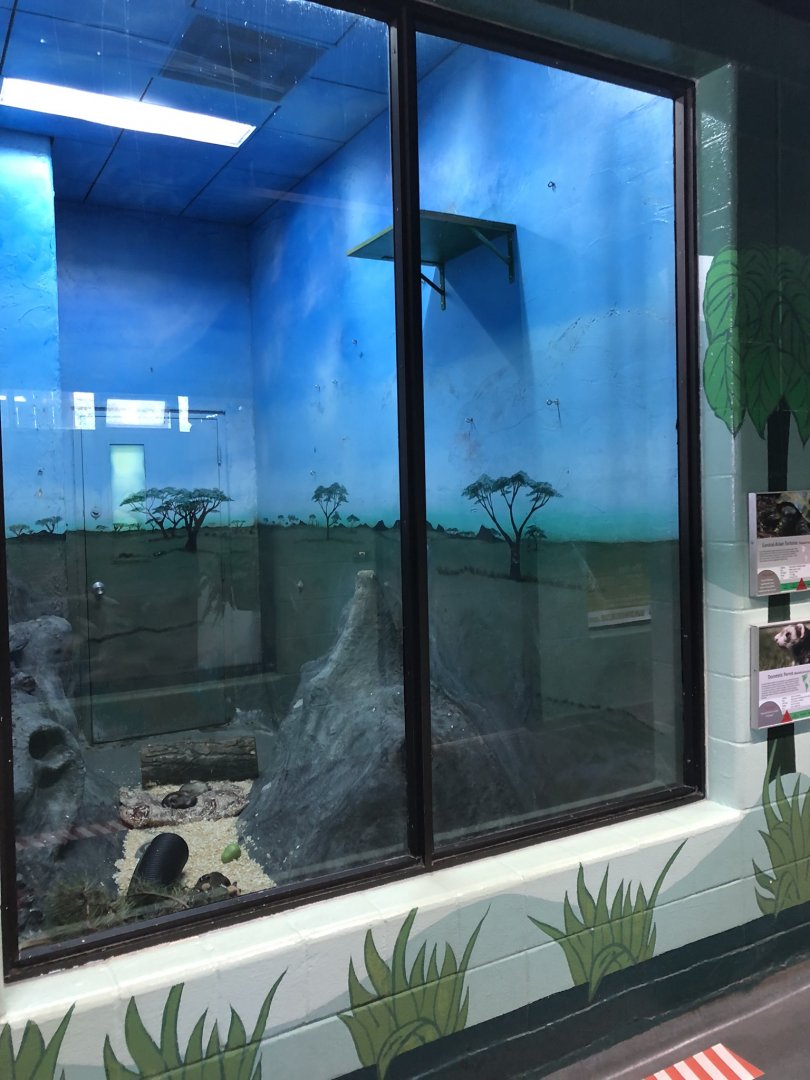 Domestic Ferret Enclosure at Edmonton Valley Zoo (July 2022)