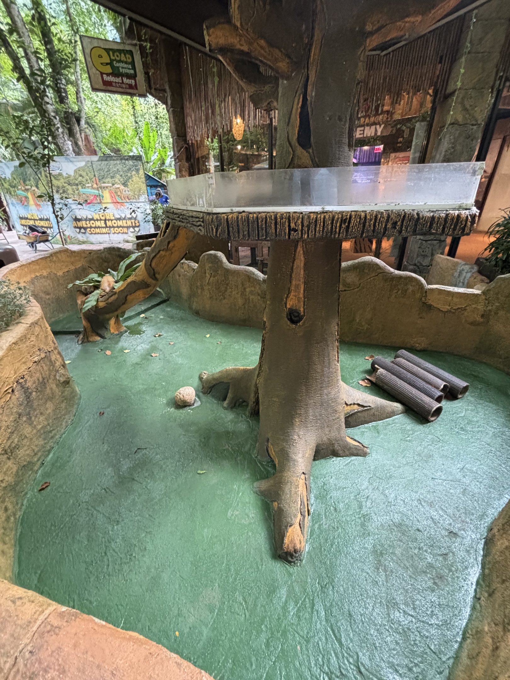 Domestic Ferret Exhibit - Lost World of Tambun