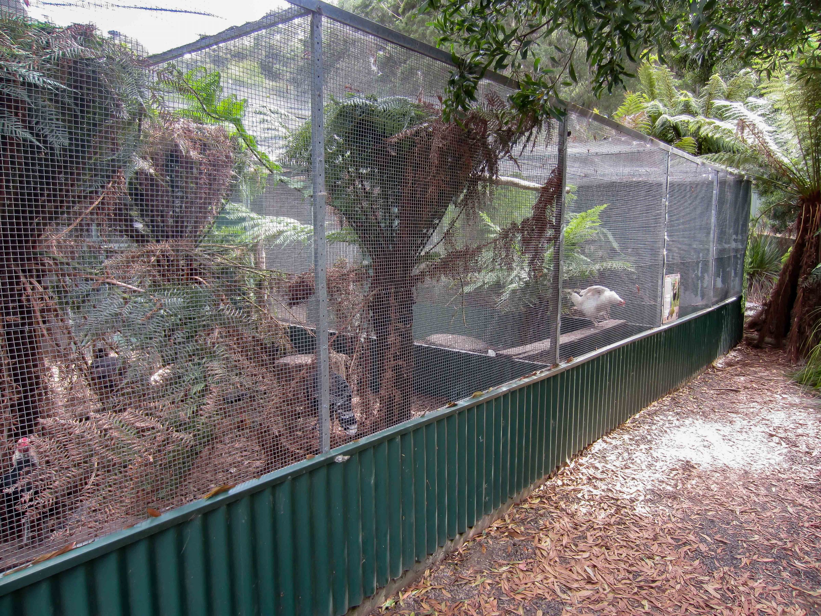 Domestic fowl aviaries