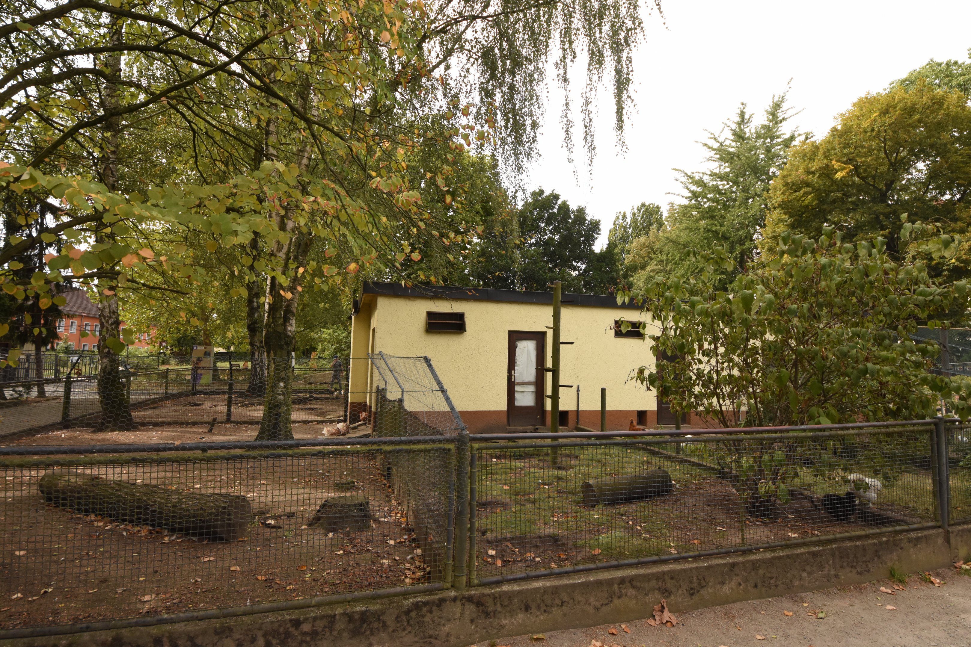 Domestic fowl enclosures