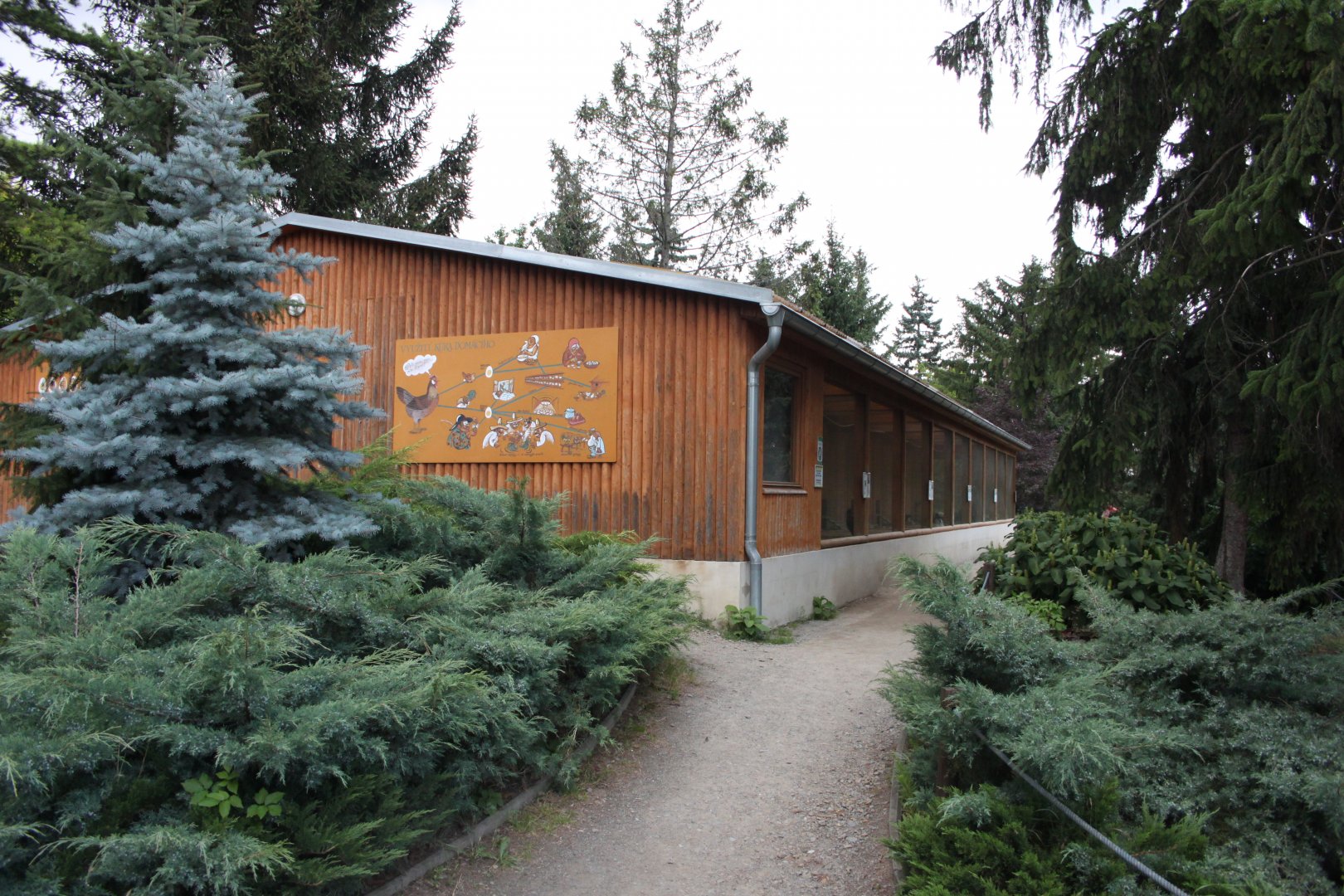 Domestic fowl pavillion