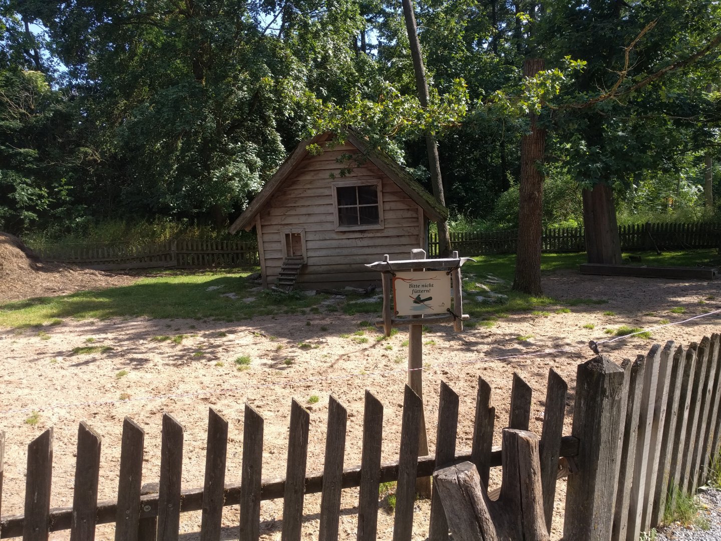 Domestic Goat and Domestic Chicken Enclosure