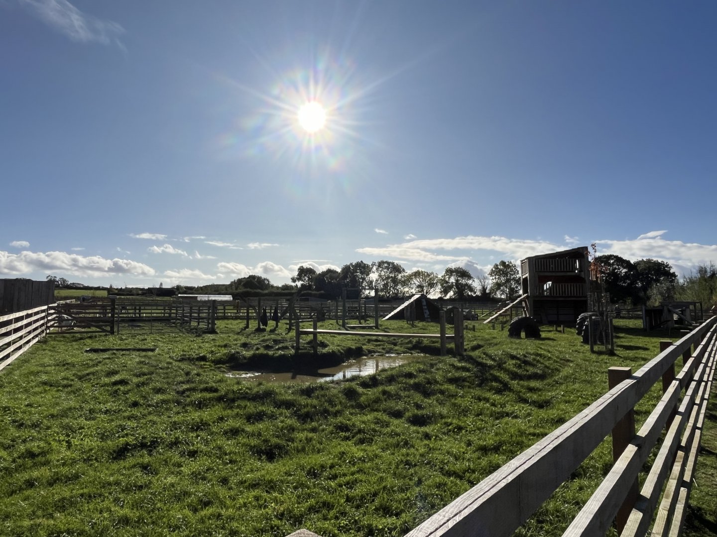 Domestic goat enclosure 14.10.23