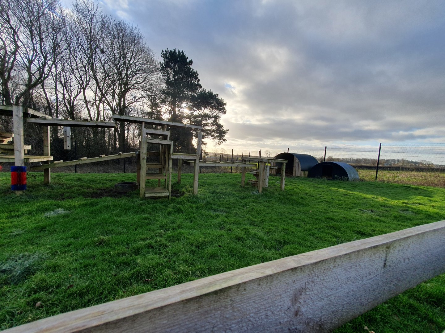Domestic Goat enclosure 17/12/23