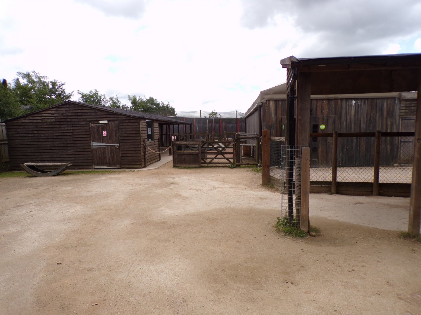 Domestic goat enclosure 7.7.24