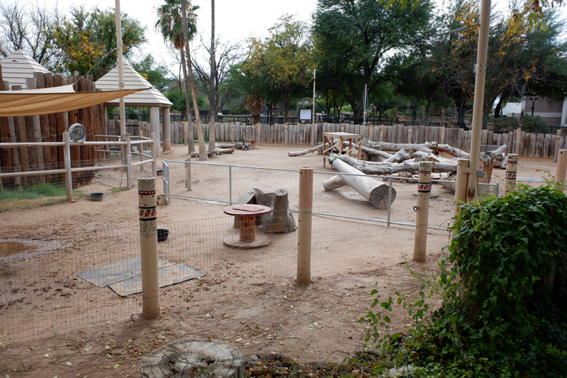 domestic goat exhibit (former elephant)
