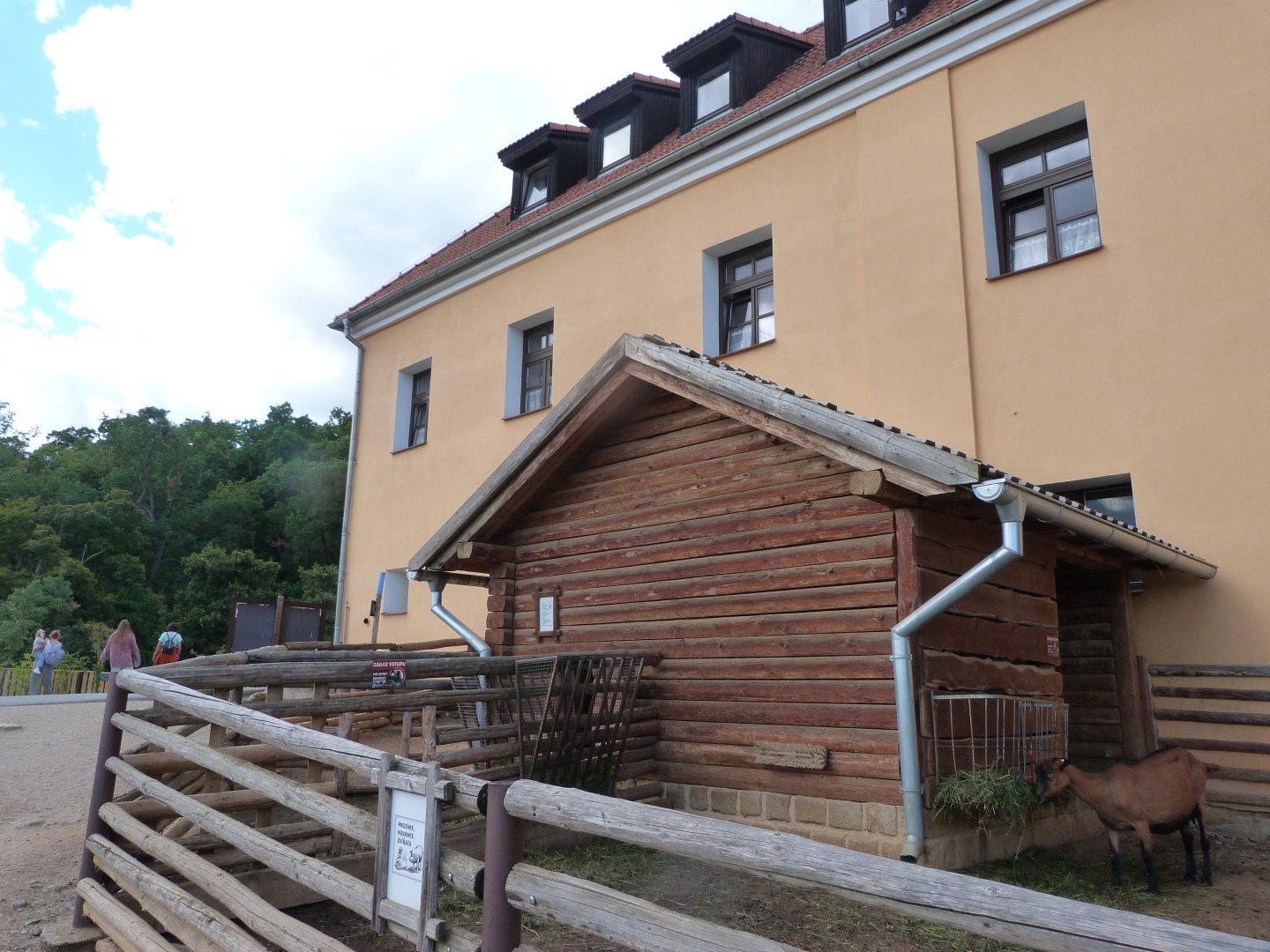 Domestic goat exhibit with the Lüftnerka Farm at the back -Zoo Plzeň (2025)
