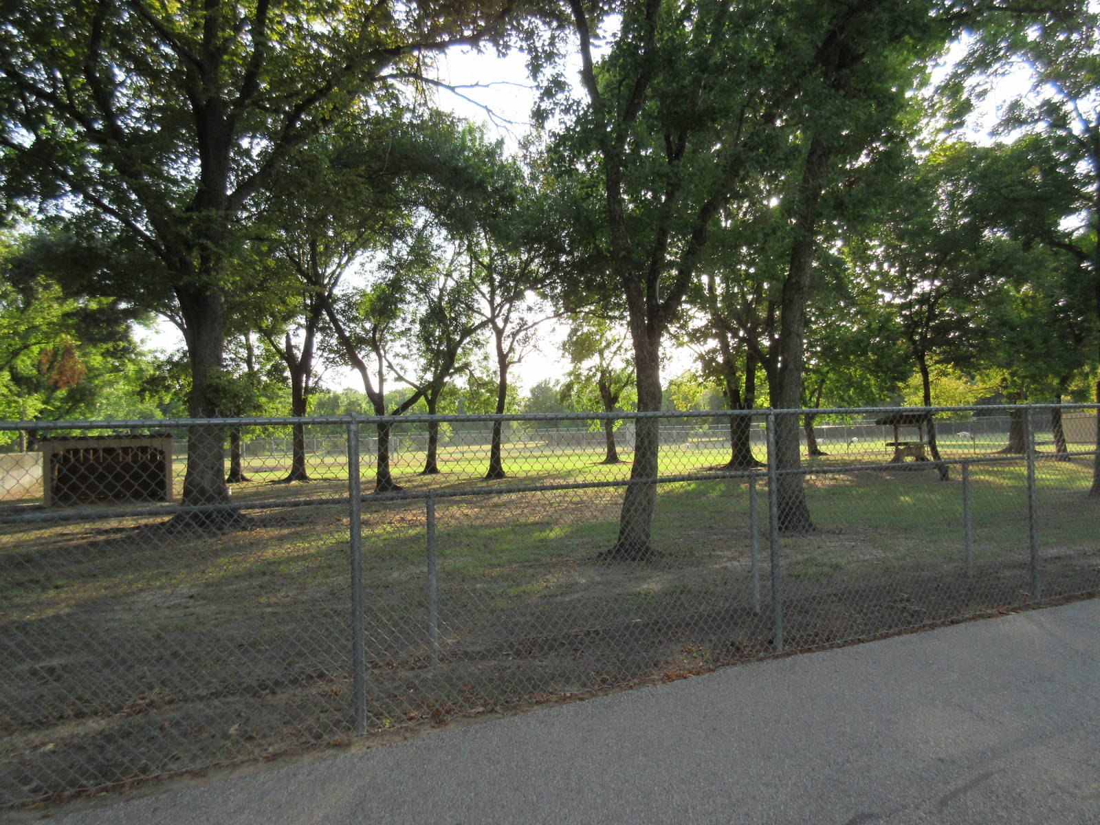 Domestic Goat Exhibit