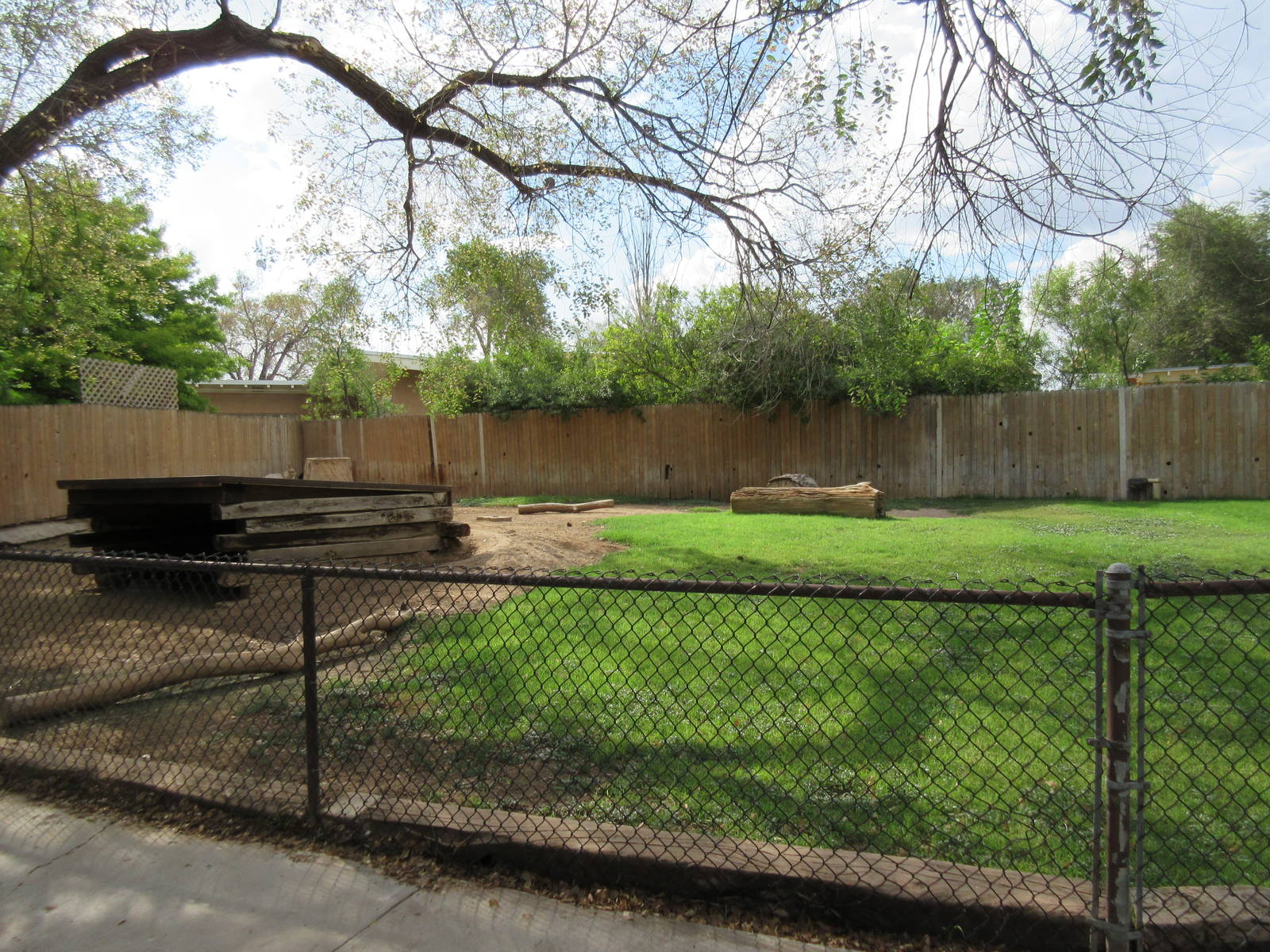 Domestic Goat Exhibit