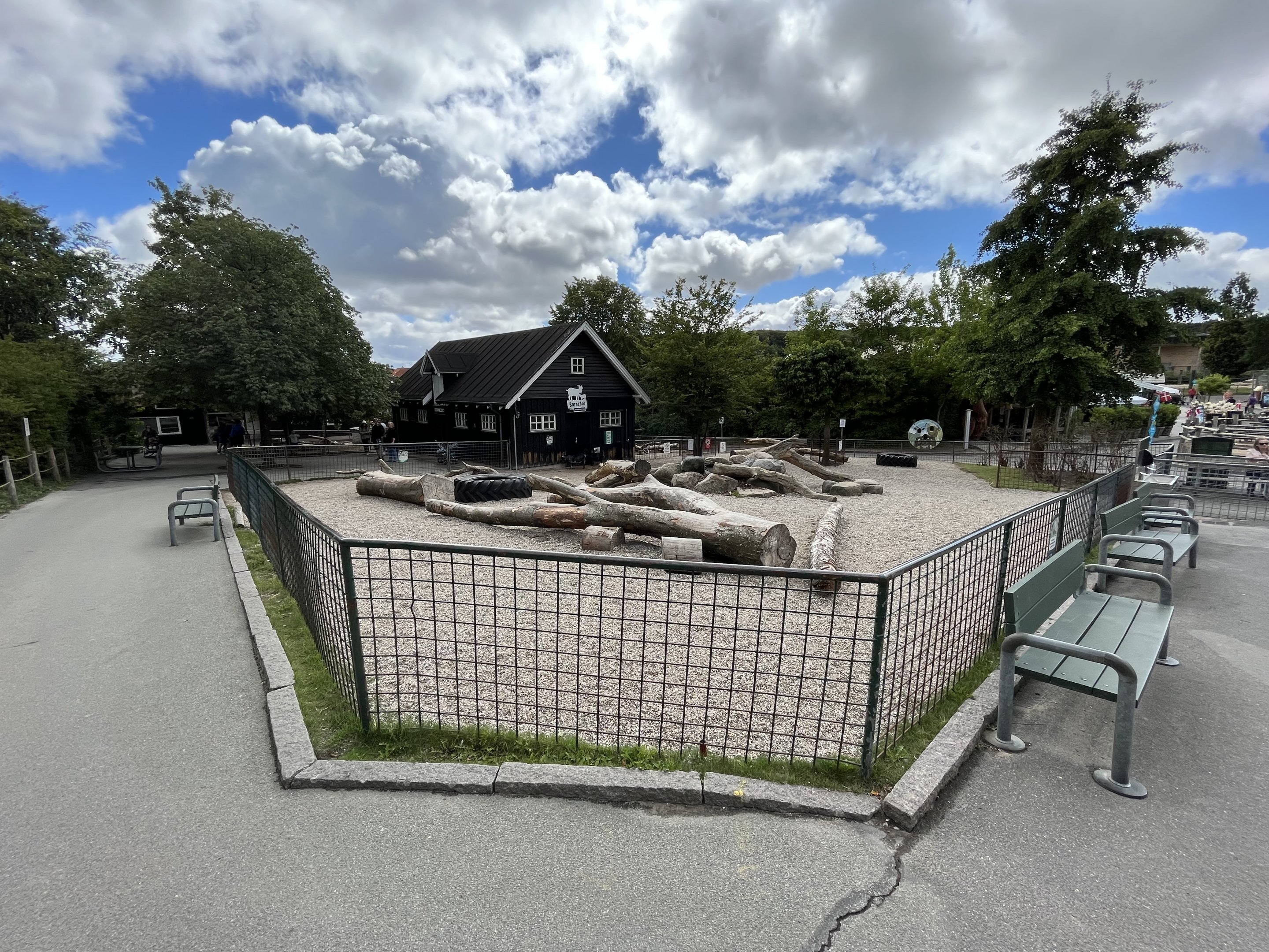 Domestic Goat Exhibit