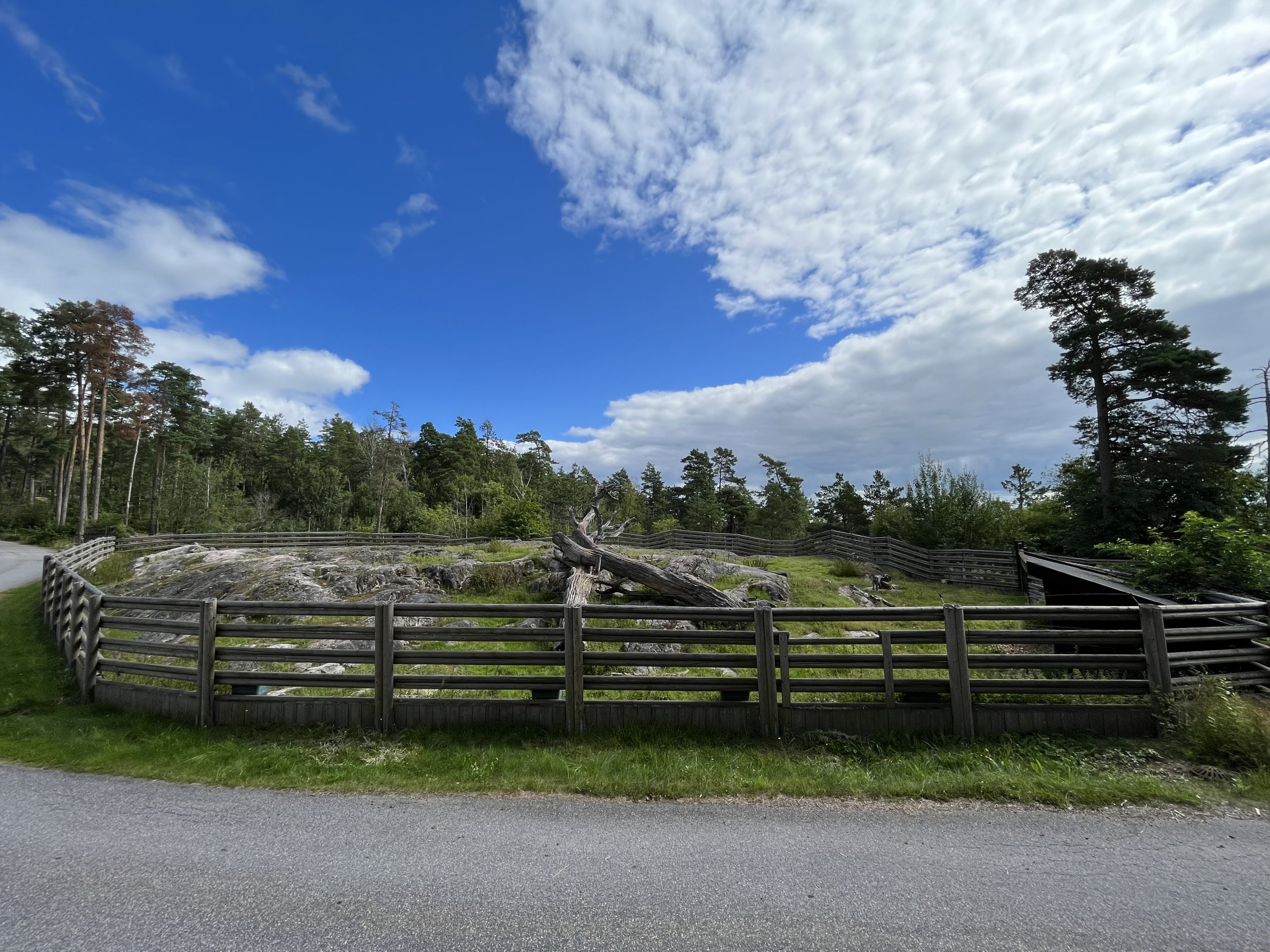 Domestic Goat Exhibit
