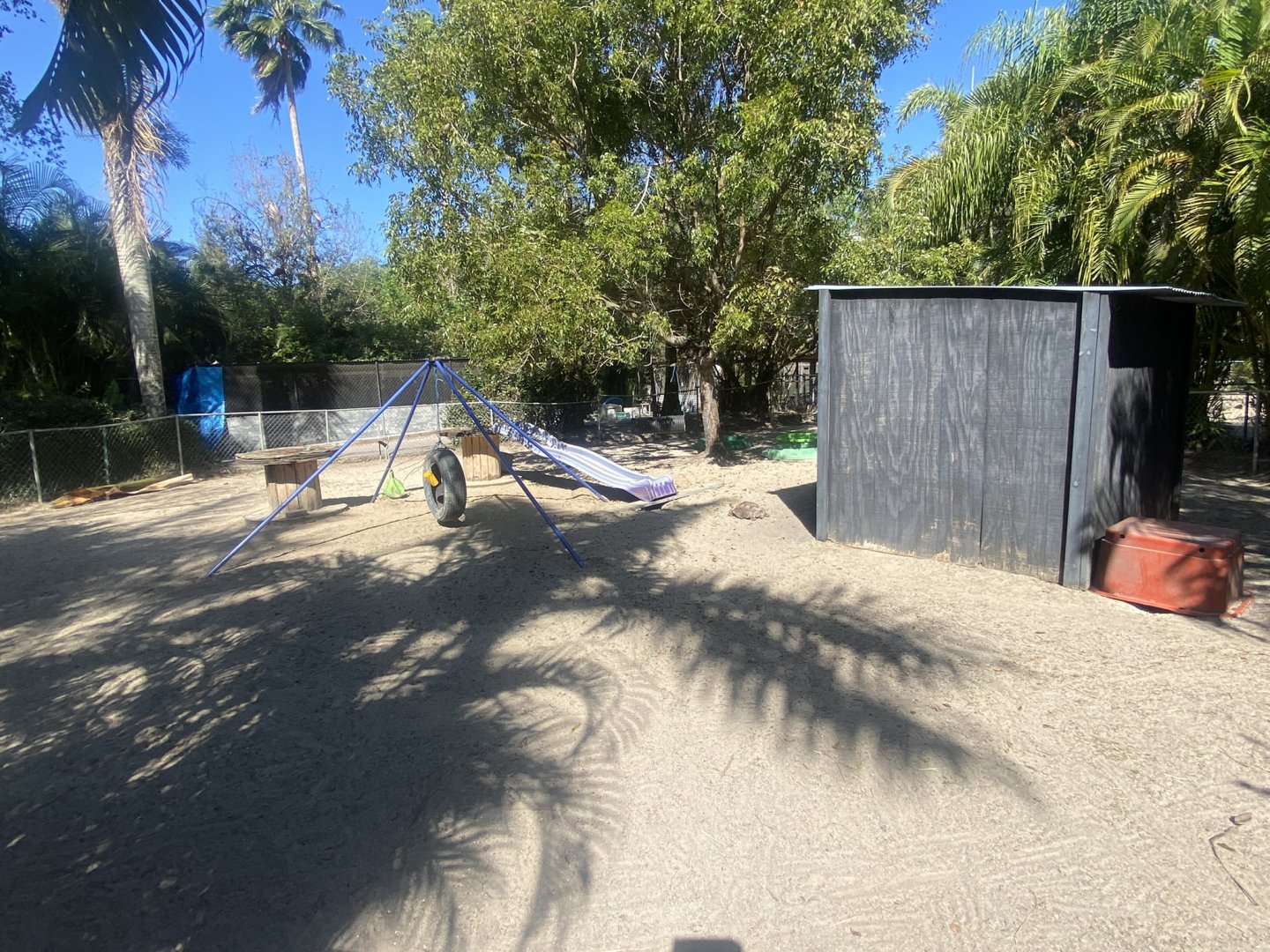 Domestic Goat/Gopher Tortoise Exhibit