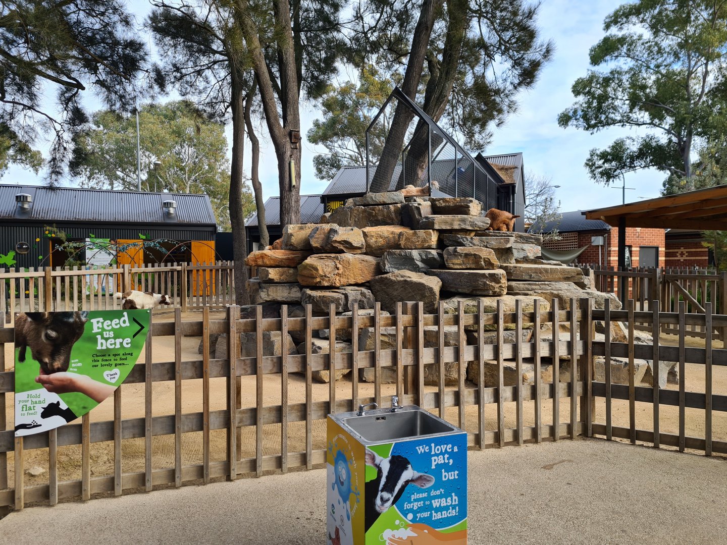 Domestic goat pen in Nature's Playground