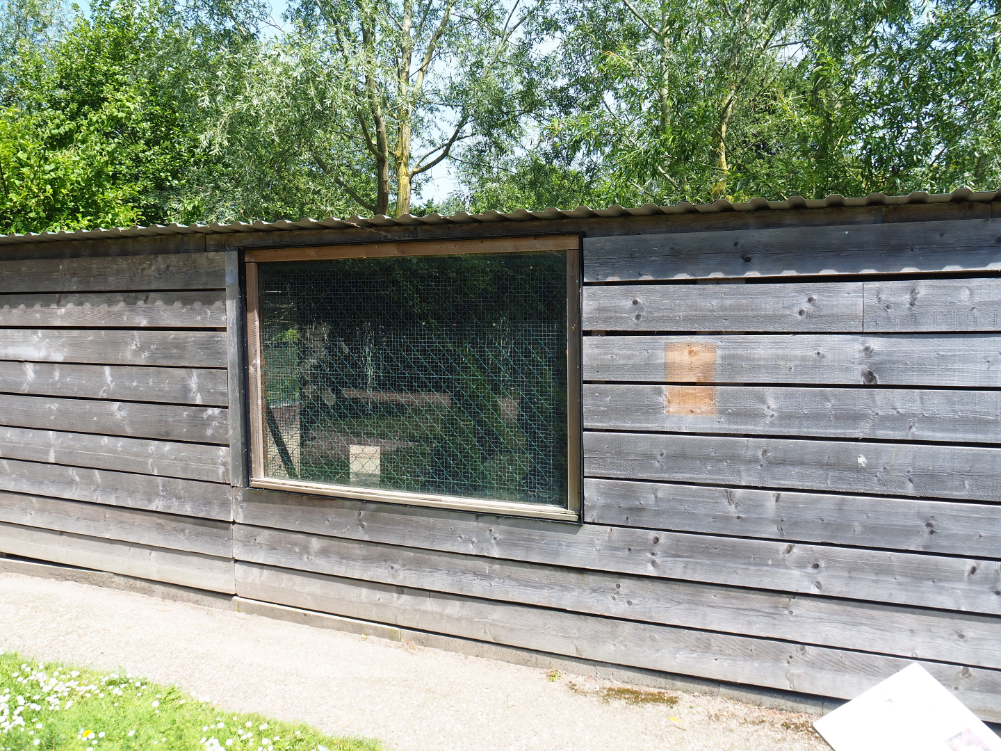 Domestic guinea barn, 2019-06-01