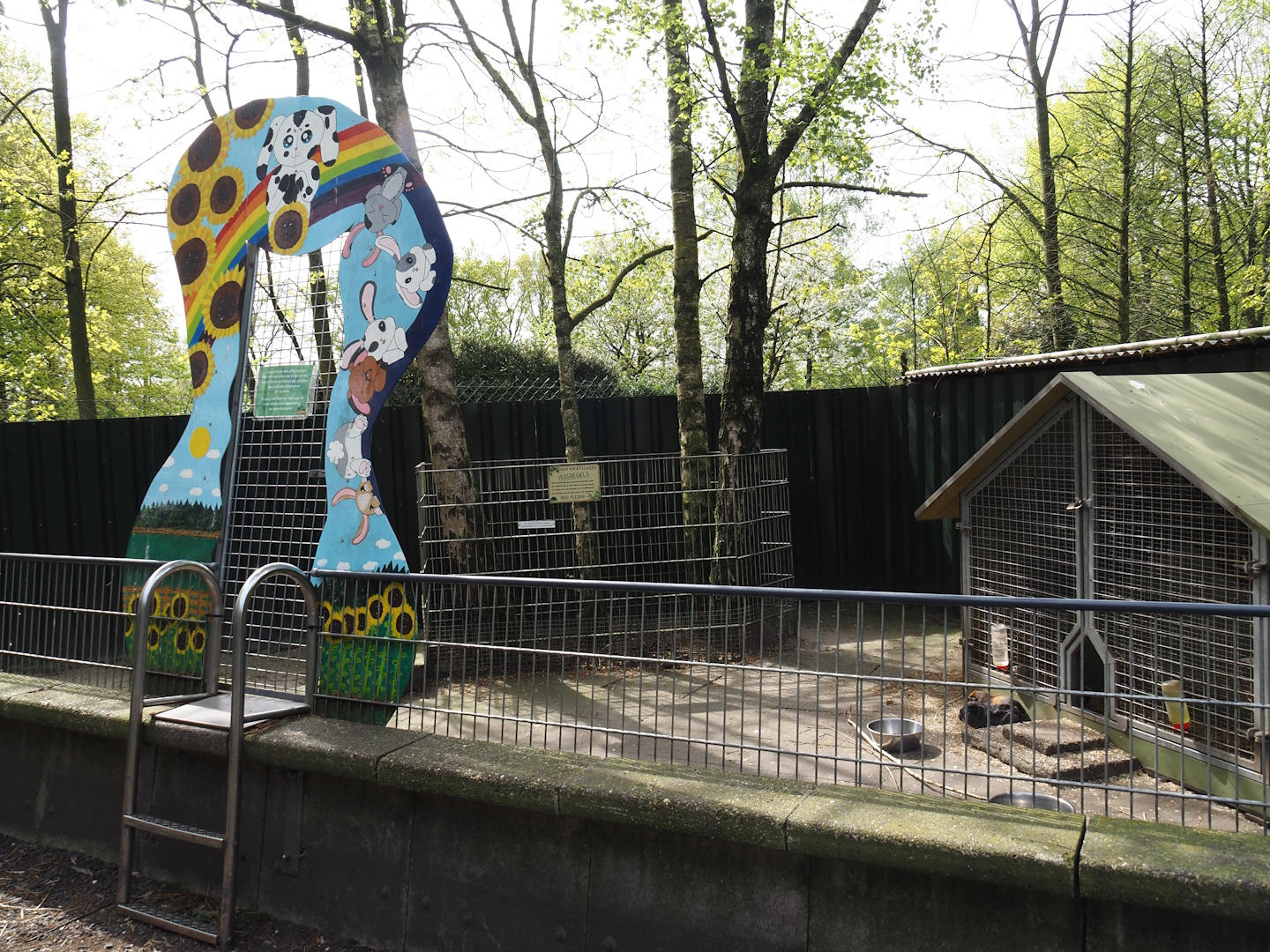 Domestic guinea pig and Domestic rabbit pen, 2024-04-14