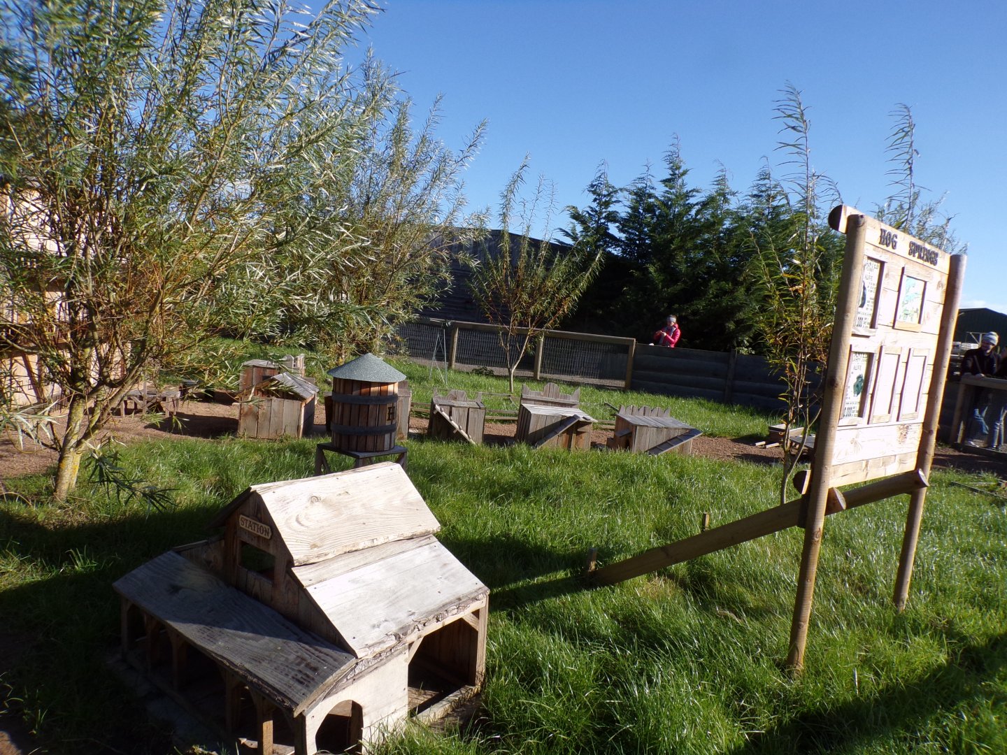 Domestic Guinea pig enclosure 14.10.23