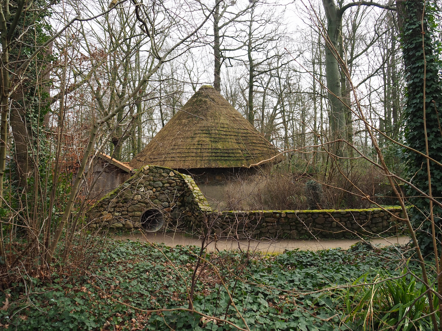 Domestic guinea pig exhibit with entrance to tunnel for kids, 2024-03-04